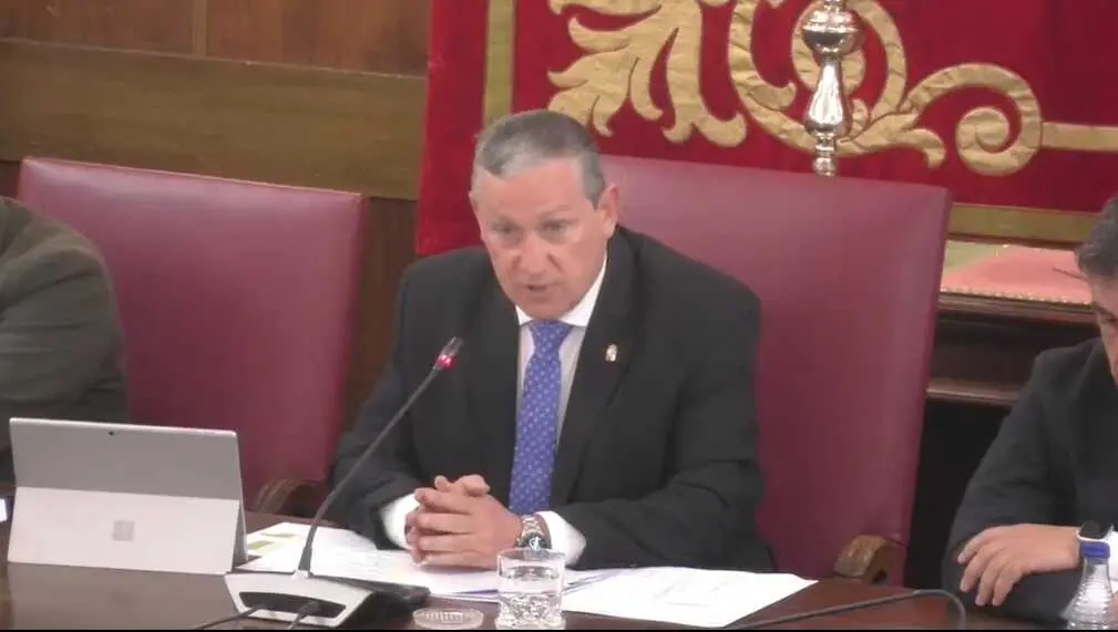 pleno diputaci&oacute;n abril