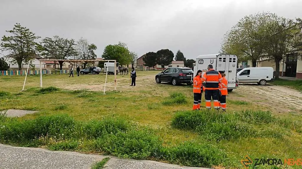   I Encuentro Provincial de Sevillanas Villaralbo 