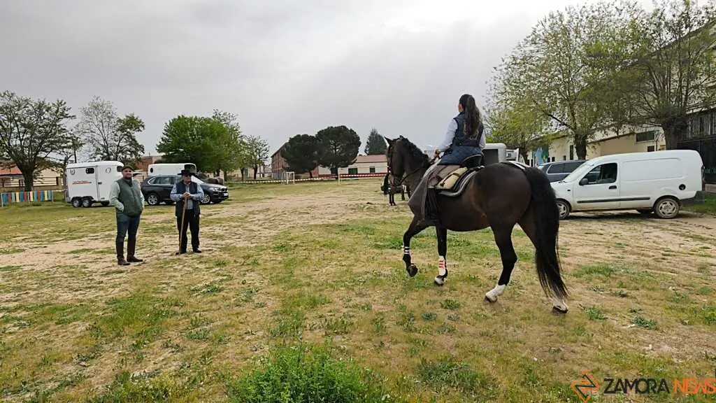   I Encuentro Provincial de Sevillanas Villaralbo _3