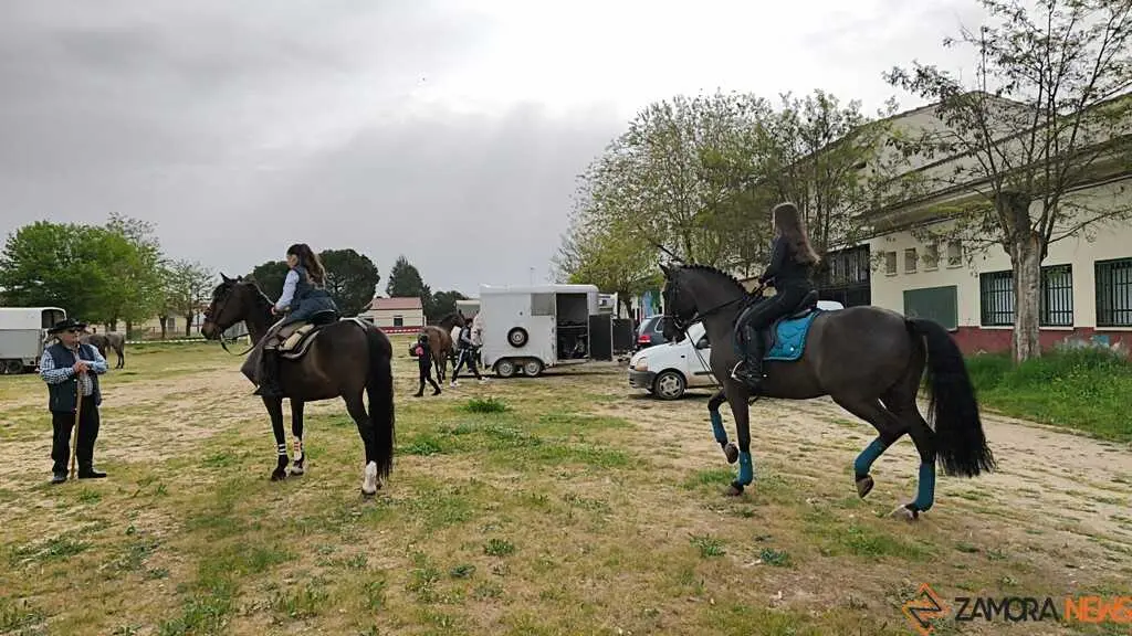   I Encuentro Provincial de Sevillanas Villaralbo _4
