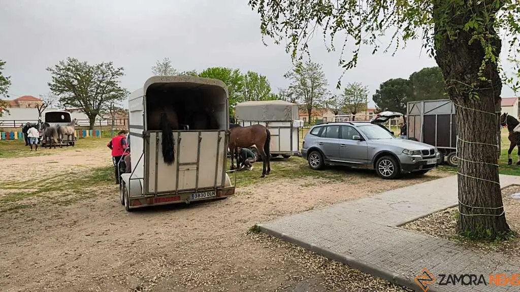   I Encuentro Provincial de Sevillanas Villaralbo _6