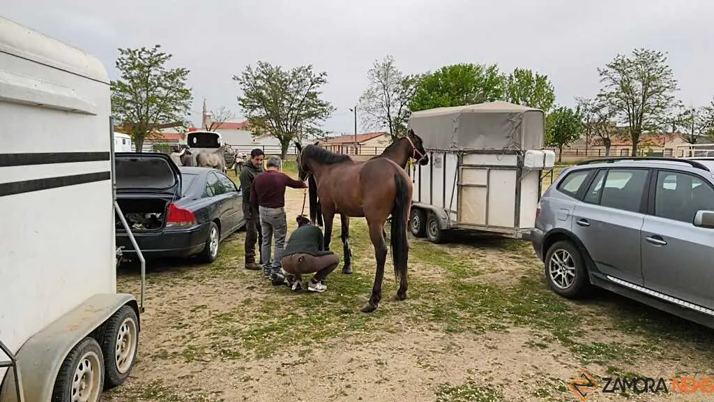   I Encuentro Provincial de Sevillanas Villaralbo _7