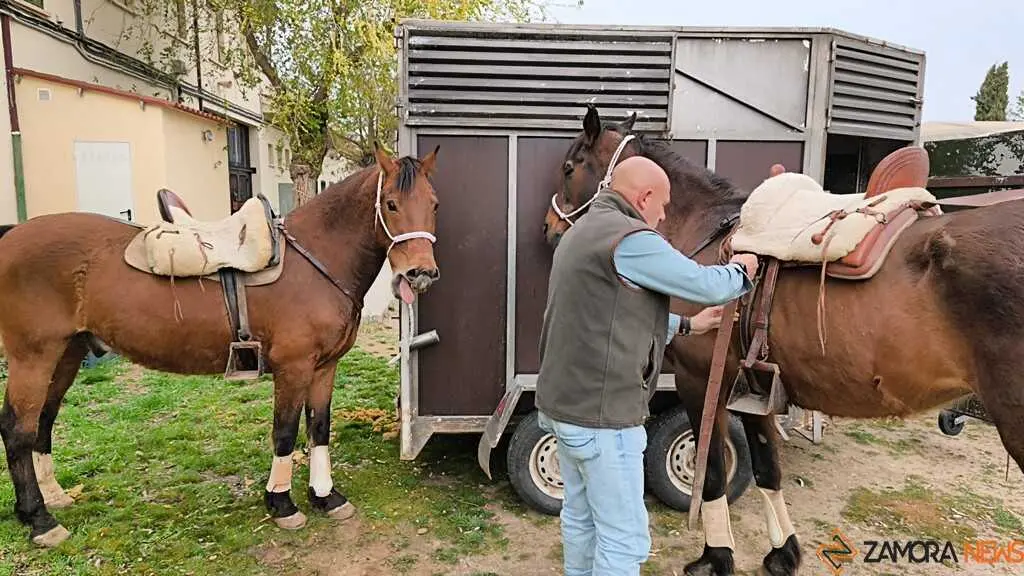   I Encuentro Provincial de Sevillanas Villaralbo _9