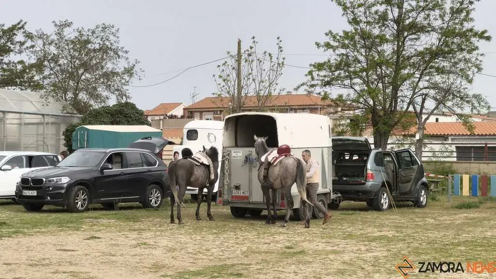   I Encuentro Provincial de Sevillanas Villaralbo _10