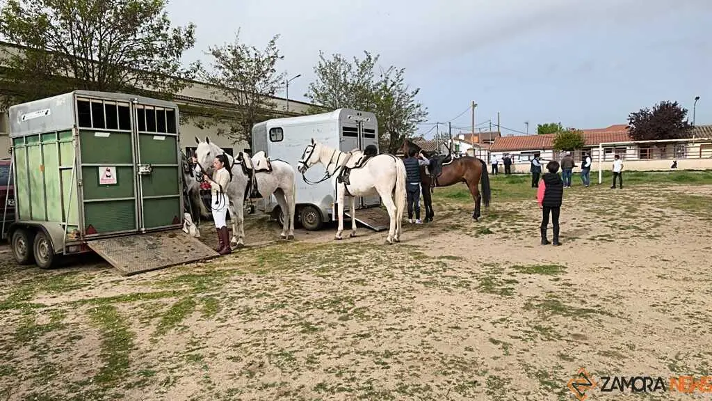   I Encuentro Provincial de Sevillanas Villaralbo _15