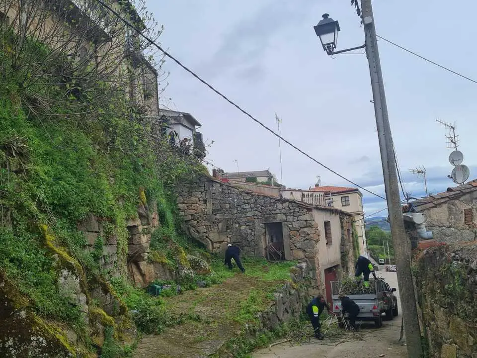 Programa de empleo y formaci&oacute;n Fermoselle