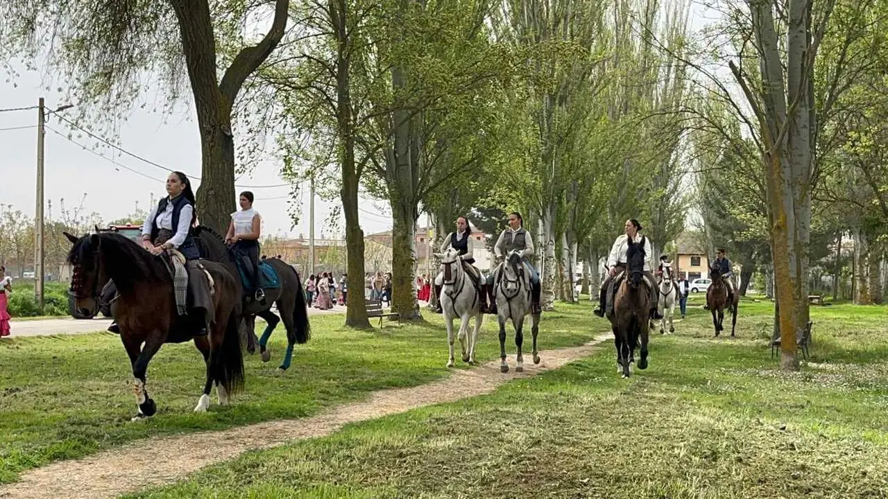   I Encuentro Provincial de Sevillanas Villaralbo II  _9