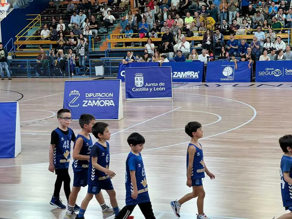 WhatsApp Image 2026-04-11 at 20.32.19 (1)