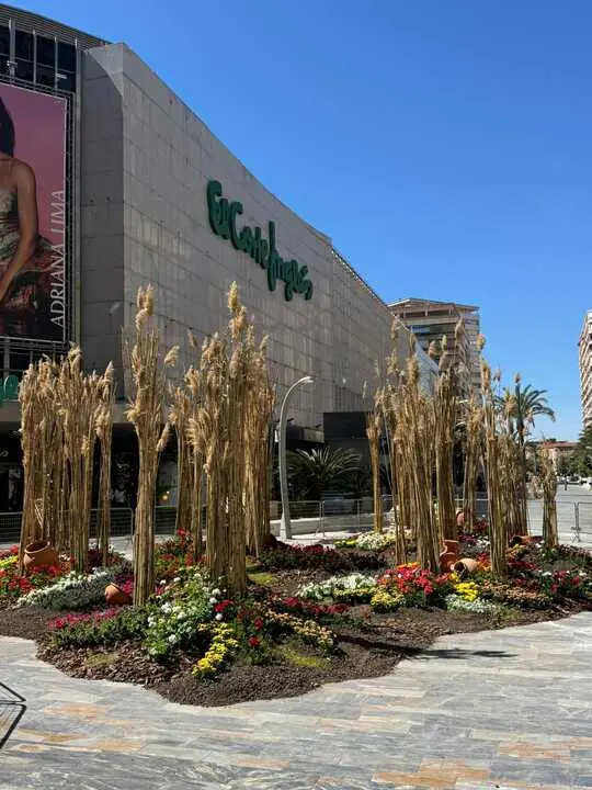 Proyecto Jardines de Primavera  Murcia Hugo Vega - imagen cedida