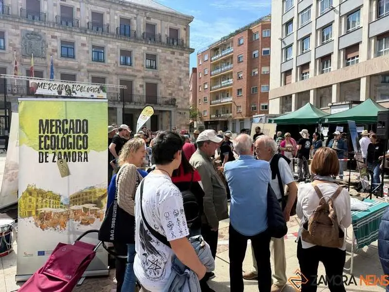 mercado ecol&oacute;gico y piedra de Sayago en Zamora 