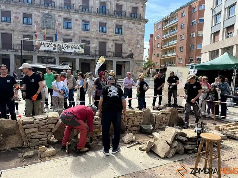mercado ecol&oacute;gico y piedra de Sayago en Zamora _2