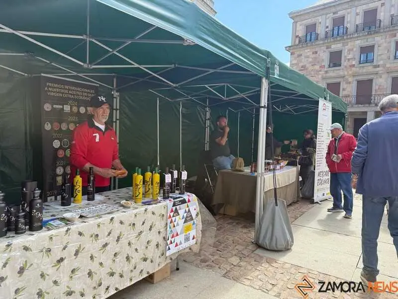 mercado ecol&oacute;gico y piedra de Sayago en Zamora _4