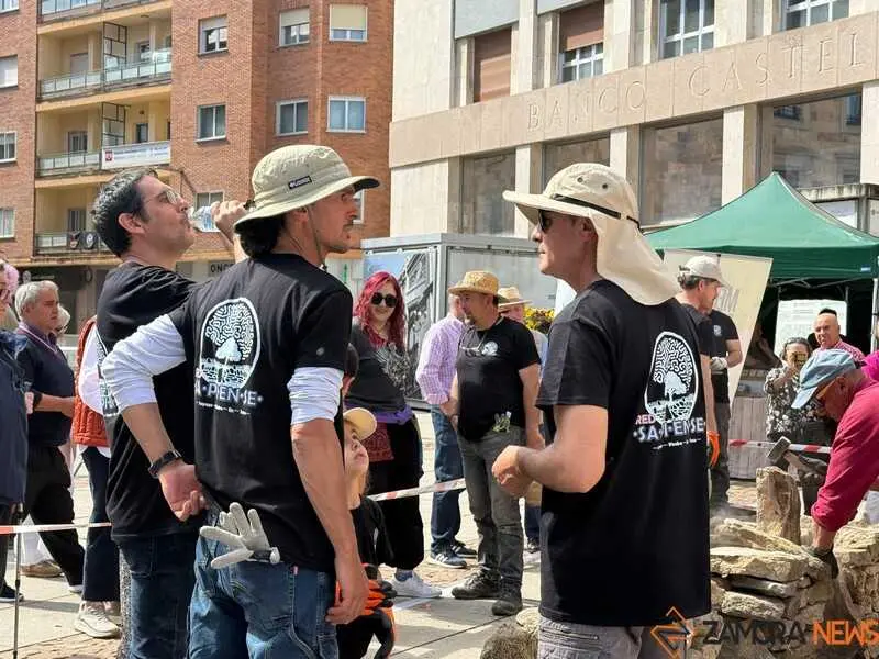 mercado ecol&oacute;gico y piedra de Sayago en Zamora _5