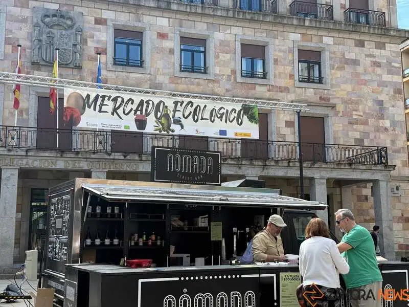 mercado ecol&oacute;gico y piedra de Sayago en Zamora _6