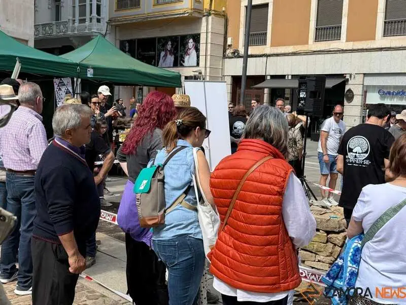 mercado ecol&oacute;gico y piedra de Sayago en Zamora _7