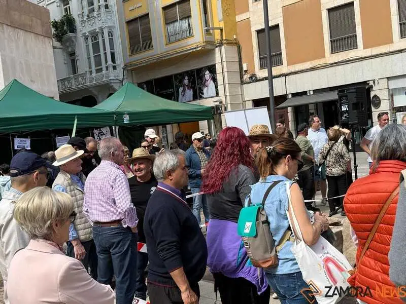 mercado ecol&oacute;gico y piedra de Sayago en Zamora _8