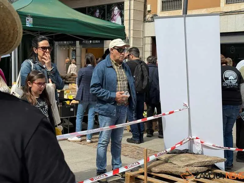mercado ecol&oacute;gico y piedra de Sayago en Zamora _12