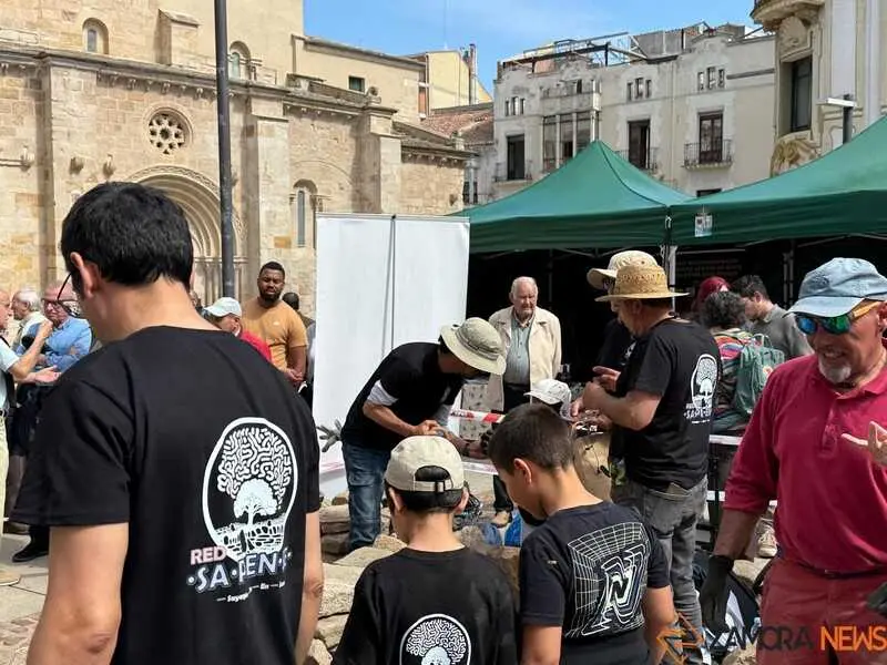 mercado ecol&oacute;gico y piedra de Sayago en Zamora _16