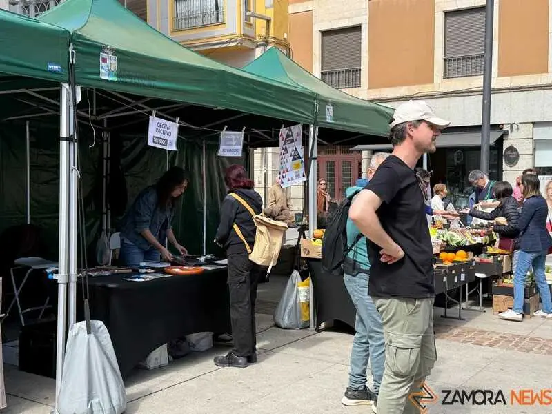 mercado ecol&oacute;gico y piedra de Sayago en Zamora _20