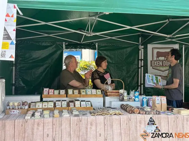 mercado ecol&oacute;gico y piedra de Sayago en Zamora _21