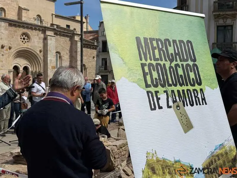 mercado ecol&oacute;gico y piedra de Sayago en Zamora _22