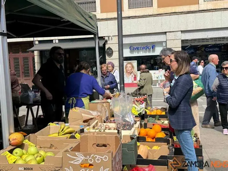 mercado ecol&oacute;gico y piedra de Sayago en Zamora _23