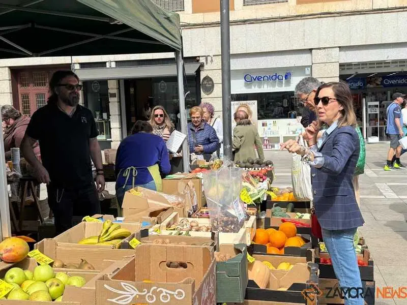mercado ecol&oacute;gico y piedra de Sayago en Zamora _24