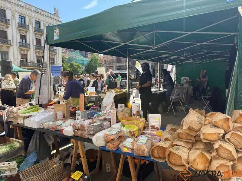 mercado ecol&oacute;gico y piedra de Sayago en Zamora _27