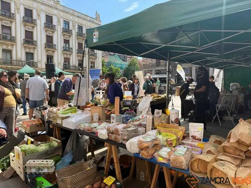 mercado ecol&oacute;gico y piedra de Sayago en Zamora _28