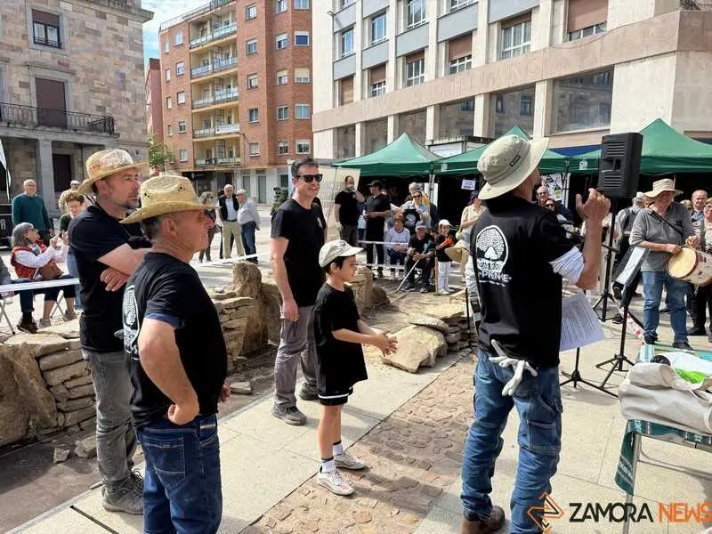 mercado ecol&oacute;gico y piedra de Sayago en Zamora _31