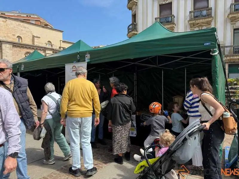 mercado ecol&oacute;gico y piedra de Sayago en Zamora _37