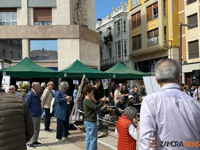 mercado ecol&oacute;gico y piedra de Sayago en Zamora _38