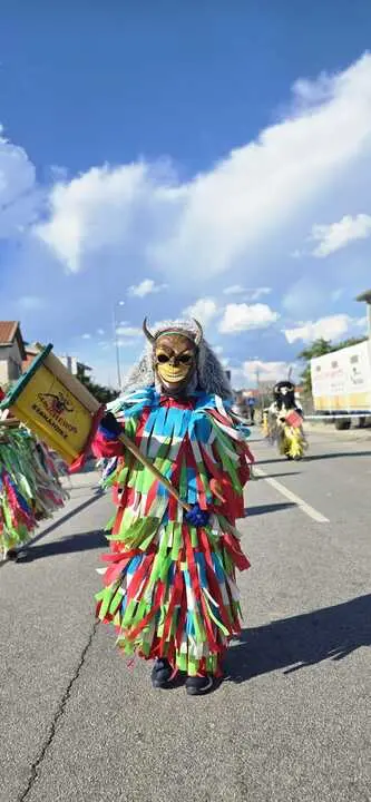 Carucheros de Sesn&aacute;ndez de T&aacute;bara en Bemposta. IMAGEN CEDIDA (19)