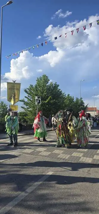 Carucheros de Sesn&aacute;ndez de T&aacute;bara en Bemposta. IMAGEN CEDIDA (30)