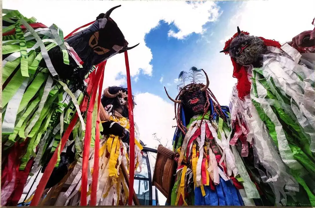 Carucheros de Sesn&aacute;ndez de T&aacute;bara en Bemposta. IMAGEN CEDIDA (39)