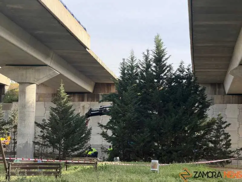 ca&iacute;da de la barrera de protecci&oacute;n de hormig&oacute;n y barandilla_9