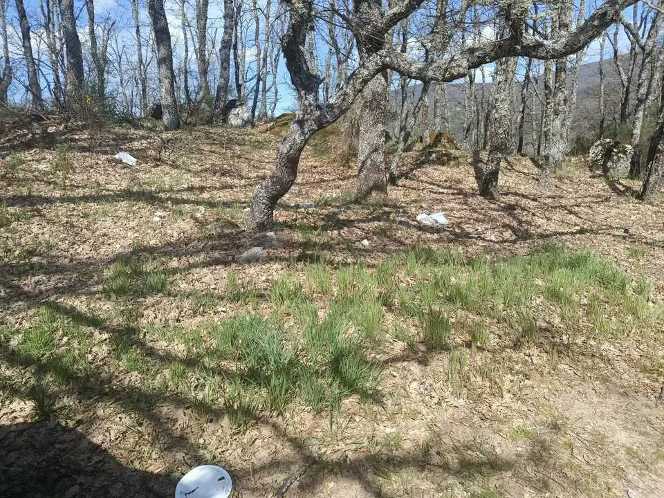 Basura esparcida por el acceso a la playa. Fotos cedidas