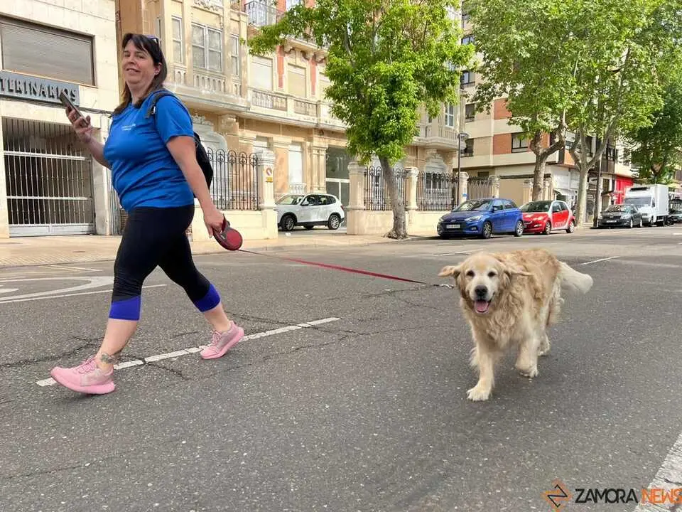 Carrera Solidaria D&iacute;a de Castilla y Le&oacute;n _37