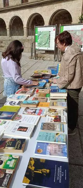D&iacute;a del Libro en Fermoselle _3