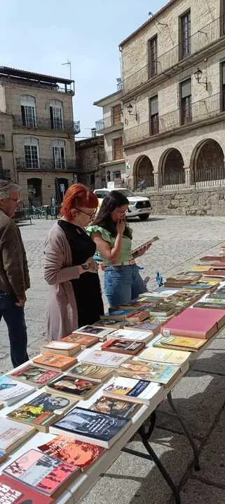 D&iacute;a del Libro en Fermoselle _11