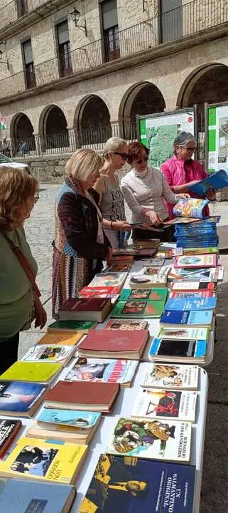 D&iacute;a del Libro en Fermoselle _14