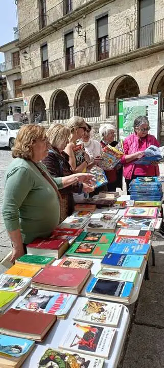 D&iacute;a del Libro en Fermoselle _15