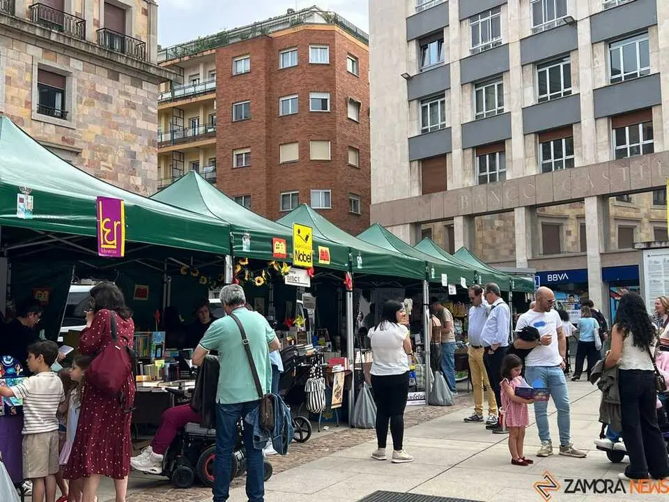 D&iacute;a del Libro Zamora _2