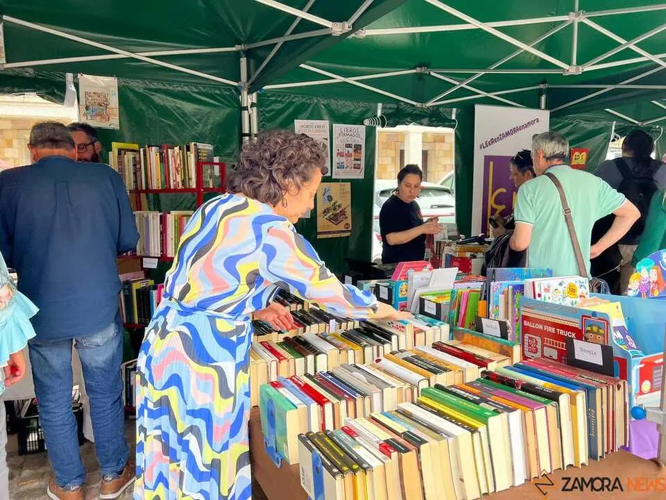 D&iacute;a del Libro Zamora _3