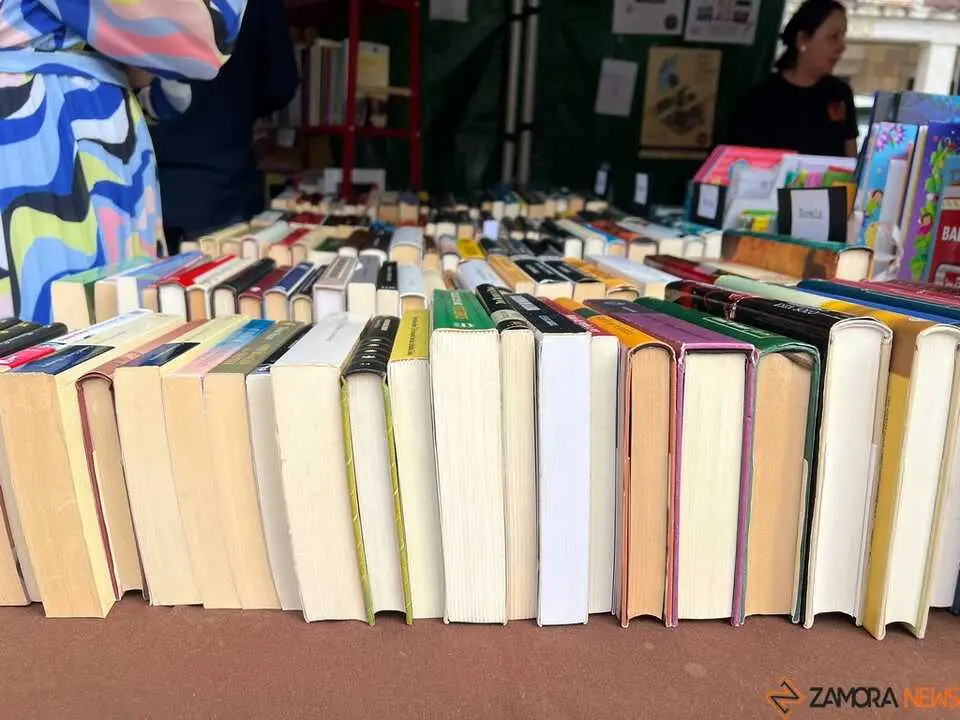 D&iacute;a del Libro Zamora _5