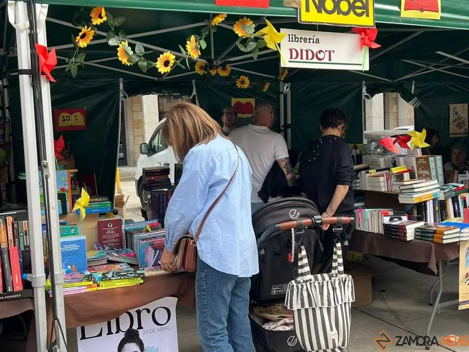 D&iacute;a del Libro Zamora _7
