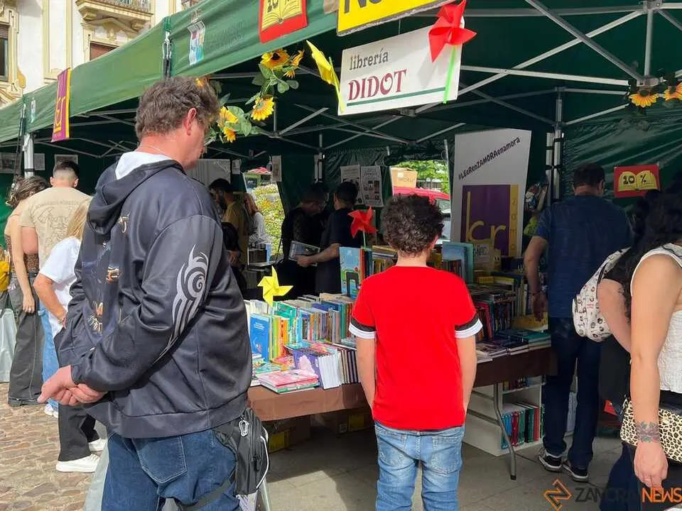 D&iacute;a del Libro Zamora _9