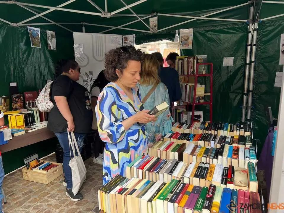 D&iacute;a del Libro Zamora _10