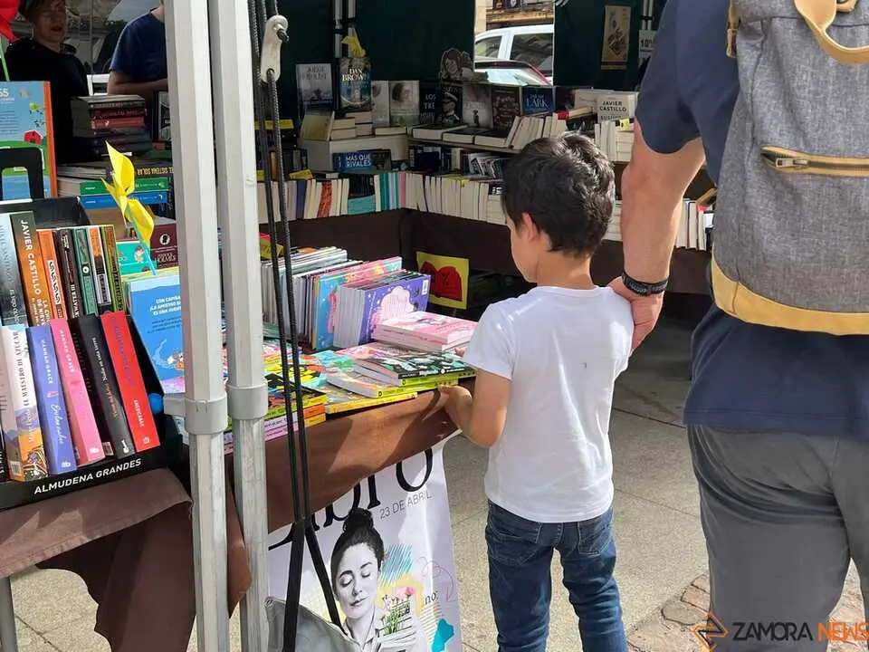 D&iacute;a del Libro Zamora _11