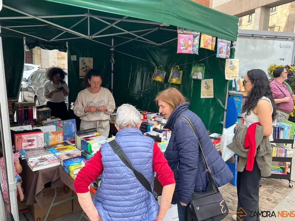 D&iacute;a del Libro Zamora _18